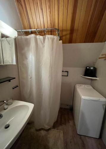 une salle de bain avec un rideau de douche et des toilettes dans l'établissement LES ECRINS, à Vallouise