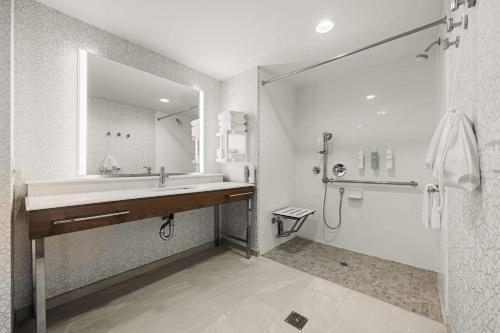 een badkamer met een wastafel en een douche bij Hampton Inn & Suites Bessemer Birmingham in Bessemer