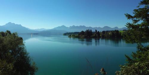 a large lake with trees and mountains in the distance at Beim Straußer in Schwangau
