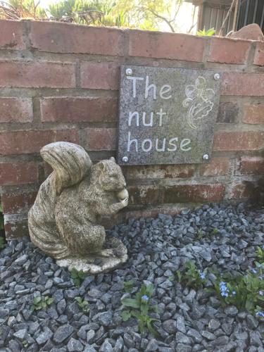 Κήπος έξω από το The Nut House - Squirrel Lane Lodges Ludlow