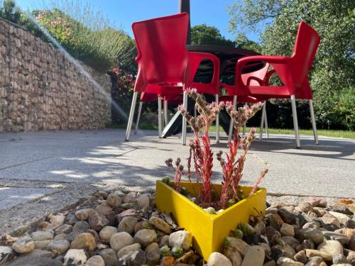 Κήπος έξω από το Haus Sterntaucher Ferienwohnung "Sonnenstern"