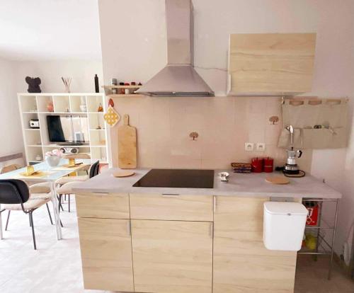 eine Küche mit einer Spüle und einer Arbeitsplatte in der Unterkunft La Riviere du les jarden de Elisa in Beausoleil