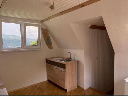 Una cocina o zona de cocina en Дикий Ліс