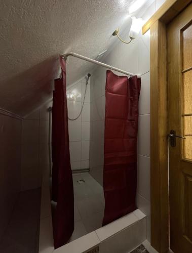 a bathroom with a shower with a red shower curtain at Дикий Ліс in Yaremche