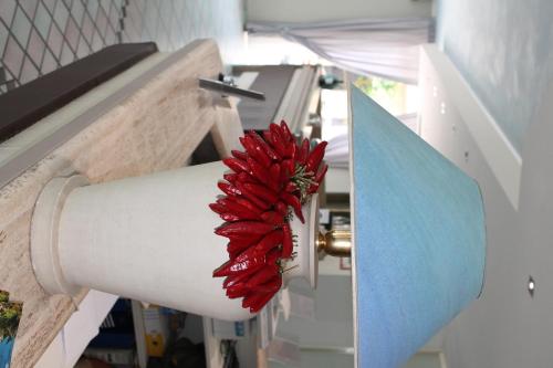 a red flower on the side of a pipe at Hotel Mediterraneo in Roccella Ionica