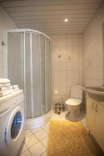 パルヌにあるパリ アパートメンツの洗濯機とトイレ付きのバスルーム