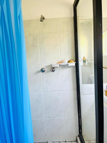 a shower with a blue shower curtain in a bathroom at Low budget Cottage- Gqeberha (no loadshedding) in Mount Road