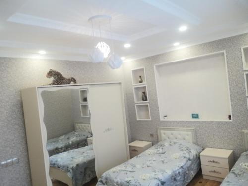 蓋貝萊的住宿－Cehrayı Villa，一间卧室配有两张床和镜子