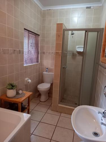 a bathroom with a shower and a toilet and a sink at Acacia Gastehuis in Kathu