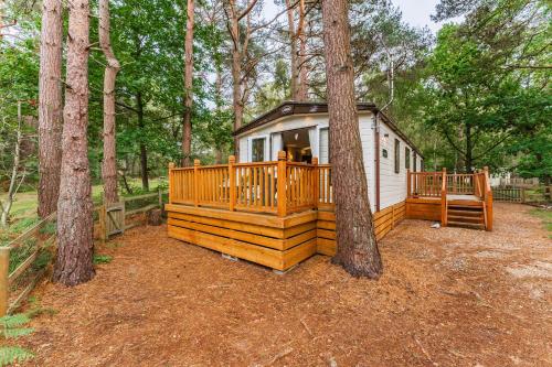 a cabin in the woods with a tree at The Pines - Norfolk Cottage Agency in Weybourne