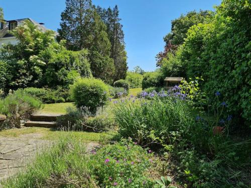 a garden with lots of flowers and plants at La maison d'à côté in Tellin