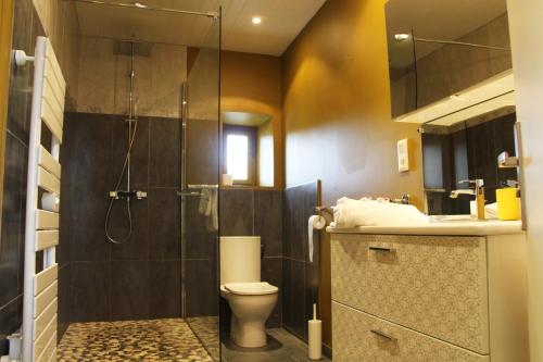 une salle de bain avec une douche, des toilettes et un lavabo dans l'établissement Henri IV - Parking included - Self check-in, à Chartres