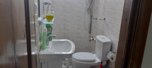 Lovely 2-Bed Apartment in Kaosa في Kasoa: حمام صغير مع مرحاض ومغسلة