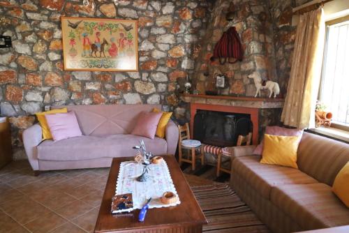 a living room with a couch and a fireplace at Mike Omalos Houses in Omalos