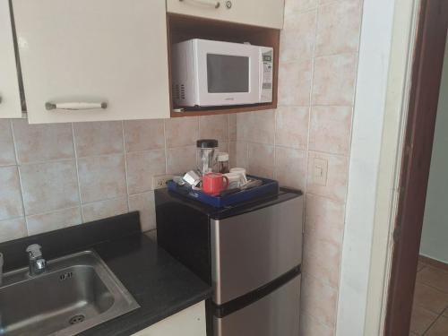 eine kleine Küche mit einer Spüle und einer Mikrowelle in der Unterkunft Apartamento frente al mar Juan dolio in Juan Pedro