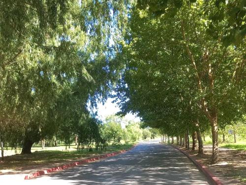 a road with trees on the sides of it at Casa Deco con Pileta, Asador y Cochera in Cordoba
