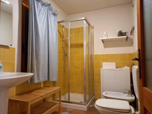 uma casa de banho com um chuveiro, um WC e um lavatório. em vallemaira house casa SAN SEBASTIANO gruppi 5 - 18 persone em San Damiano Macra