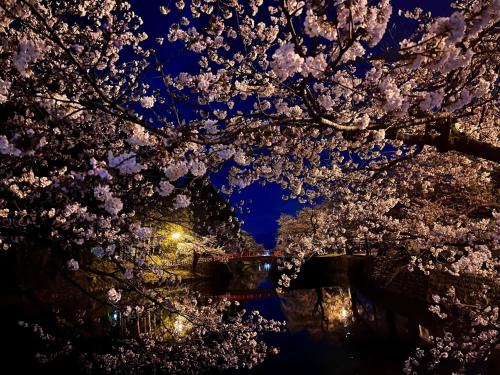 a tree with cherry blossoms on it at night at Yonezawa Excel Hotel Tokyu Reopening on June 1 "DEN'S HOTEL yonezawa" in Yonezawa