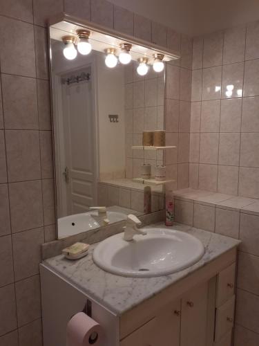 a bathroom with a sink and a mirror at NICOLAS ET MARIE in Courbevoie