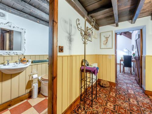 a bathroom with a sink and a toilet at Yr Hen Efail in Abergorlech