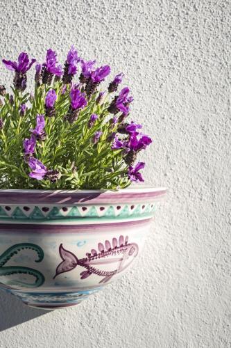 a vase with purple flowers in it next to a wall at Boutique Hotel Solaz in Porto Rafael