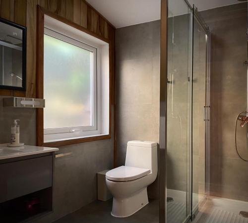 a bathroom with a toilet and a glass shower at Casa Ayacara in Frutillar