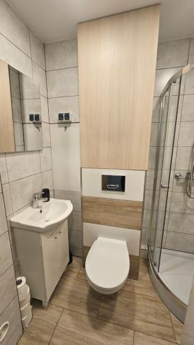 y baño con aseo, lavabo y ducha. en Noclegi w Łodzi, Komfortowe Pokoje, Wielkopolska 39, en Łódź