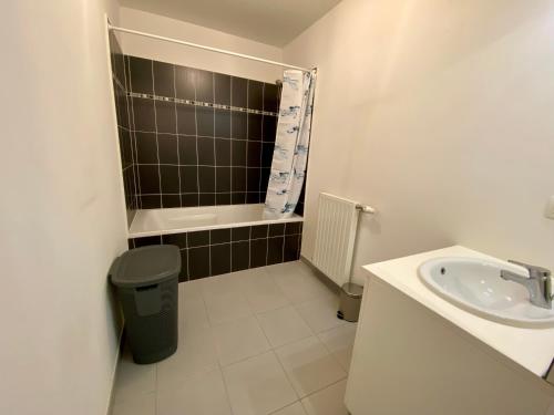 une petite salle de bain avec un lavabo et une douche dans l'établissement AGATHE 3 pièces lumineux centre ville, à La Teste-de-Buch