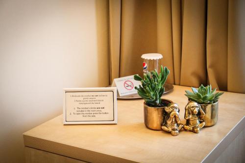 a table with two potted plants and a sign on it at Hotel Clipa in Drobeta-Turnu Severin