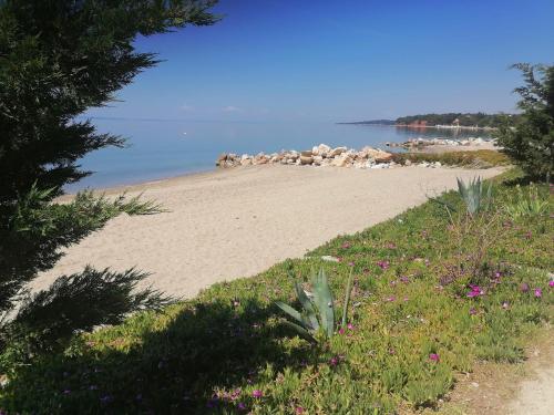 Porto Almira Studio