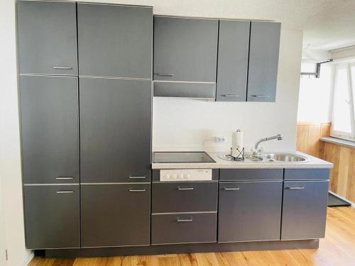a kitchen with stainless steel cabinets and a sink at Dachstudio Eggingen in Eggingen