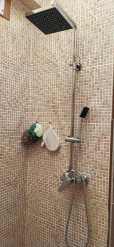 カレタ・デ・フステにあるBahia Sol 144のタイル張りの壁のバスルーム(シャワー付)