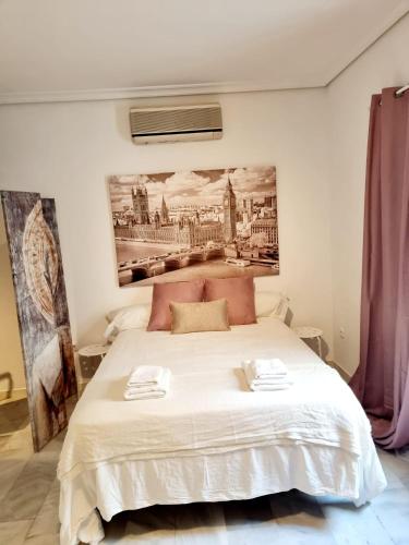 Magnifico Loft Sevillano en el Centro