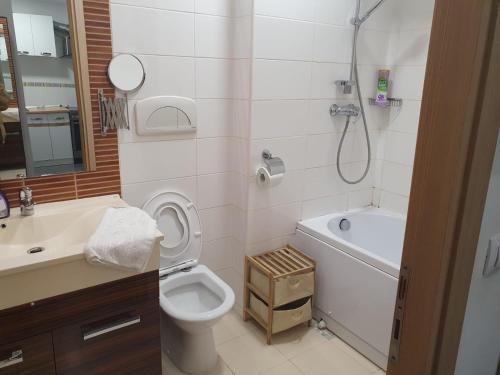 uma casa de banho com um WC, um lavatório e um chuveiro em MARCY APARTAMENT em Bucareste