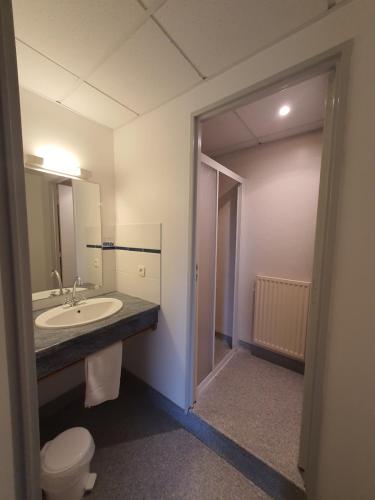 a bathroom with a sink and a toilet at Gîte de Manehouarn in Plouay