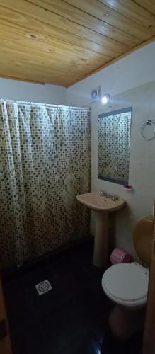 ein Badezimmer mit einem Waschbecken, einem WC und einem Spiegel in der Unterkunft Departamentos Roggero in Esquel