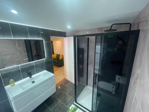 uma casa de banho com um lavatório e uma cabina de duche em vidro. em Swish Studio em Colchester