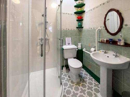 a bathroom with a shower and a toilet and a sink at The Gingang in Hexham