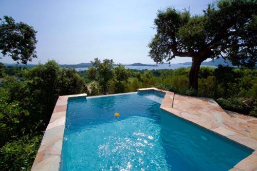 a swimming pool in a yard with a tree at Kallinera in Porto-Vecchio