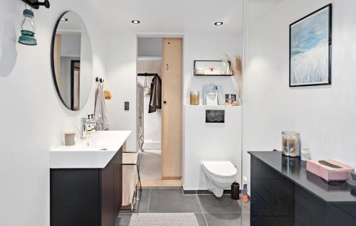 a bathroom with a sink and a toilet and a mirror at 2 Bedroom Lovely Home In Vordingborg in Vordingborg