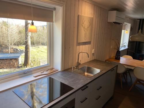 eine kleine Küche mit einem Waschbecken und einem Fenster in der Unterkunft Adventure Guesthouse Sweden in rural area Sunne in Sunne