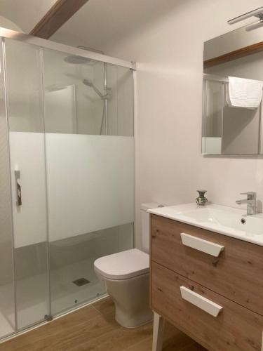 a bathroom with a shower and a toilet and a sink at Casa Román in Albarracín