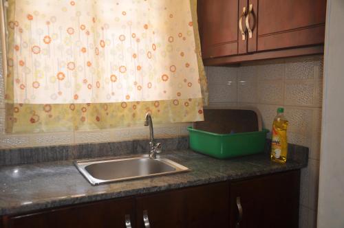 a kitchen counter with a sink and a shower curtain at Malaika Furnished Apartments in Kampala
