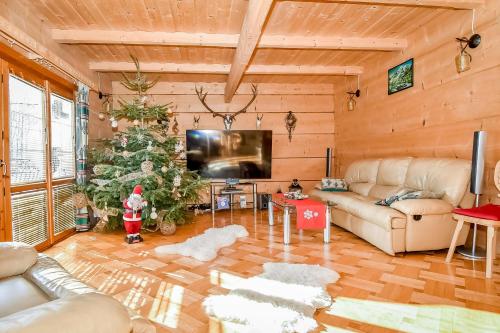 Μια τηλεόραση ή/και κέντρο ψυχαγωγίας στο Domek u Horarów