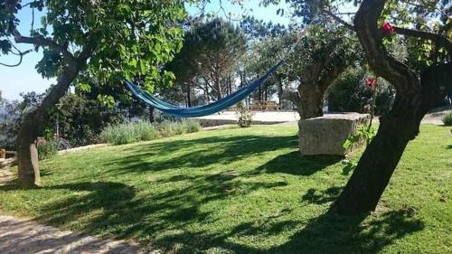 Zahrada ubytování Quinta da Idalina
