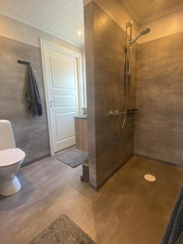 a bathroom with a shower and a toilet at Adventure Guesthouse Sweden in rural area Sunne in Sunne