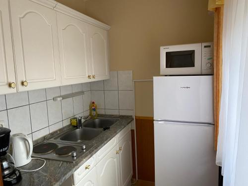 ザラカロシュにあるArany Apartmanház Zalagyöngyeのキッチン(白い冷蔵庫、電子レンジ付)
