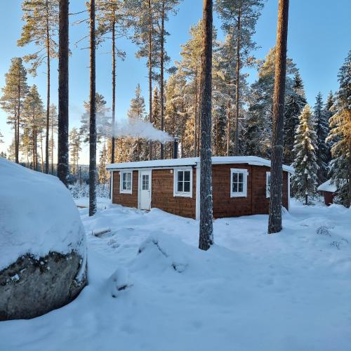 冬のForRest unikt designat hus mitt i skogenの様子