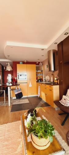 Dapur atau dapur kecil di Studio les Trois Etoiles de Mer