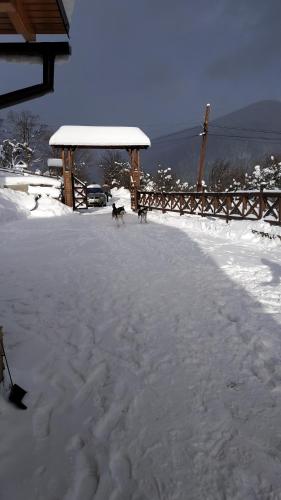 a dog sitting in the snow next to a gazebo at Eco Sadyba Chertizh in Tatariv